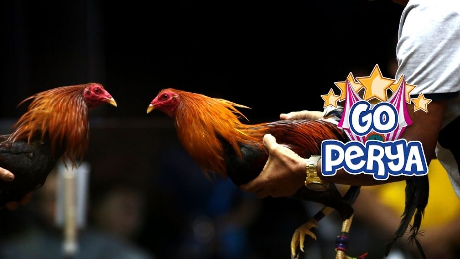 ubet63 free 100 download