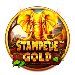 mlwin how much of your bankroll should you bet